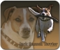 Preview: Mousepad Jack Russell Terrier